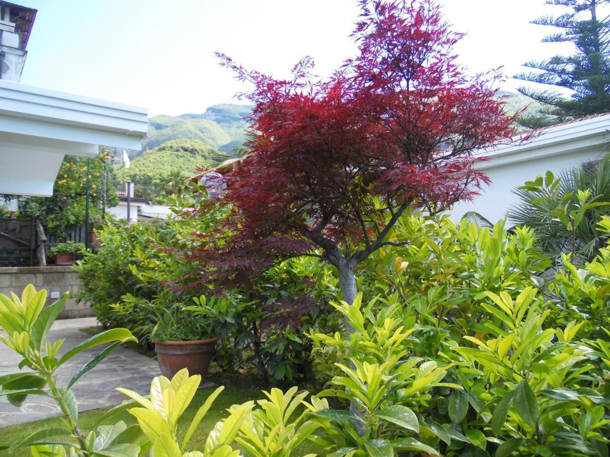 Villa Bianca Castellammare di Stabia Esterno foto