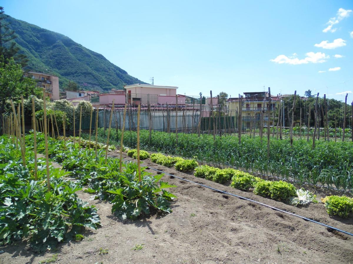 Villa Bianca Castellammare di Stabia Esterno foto