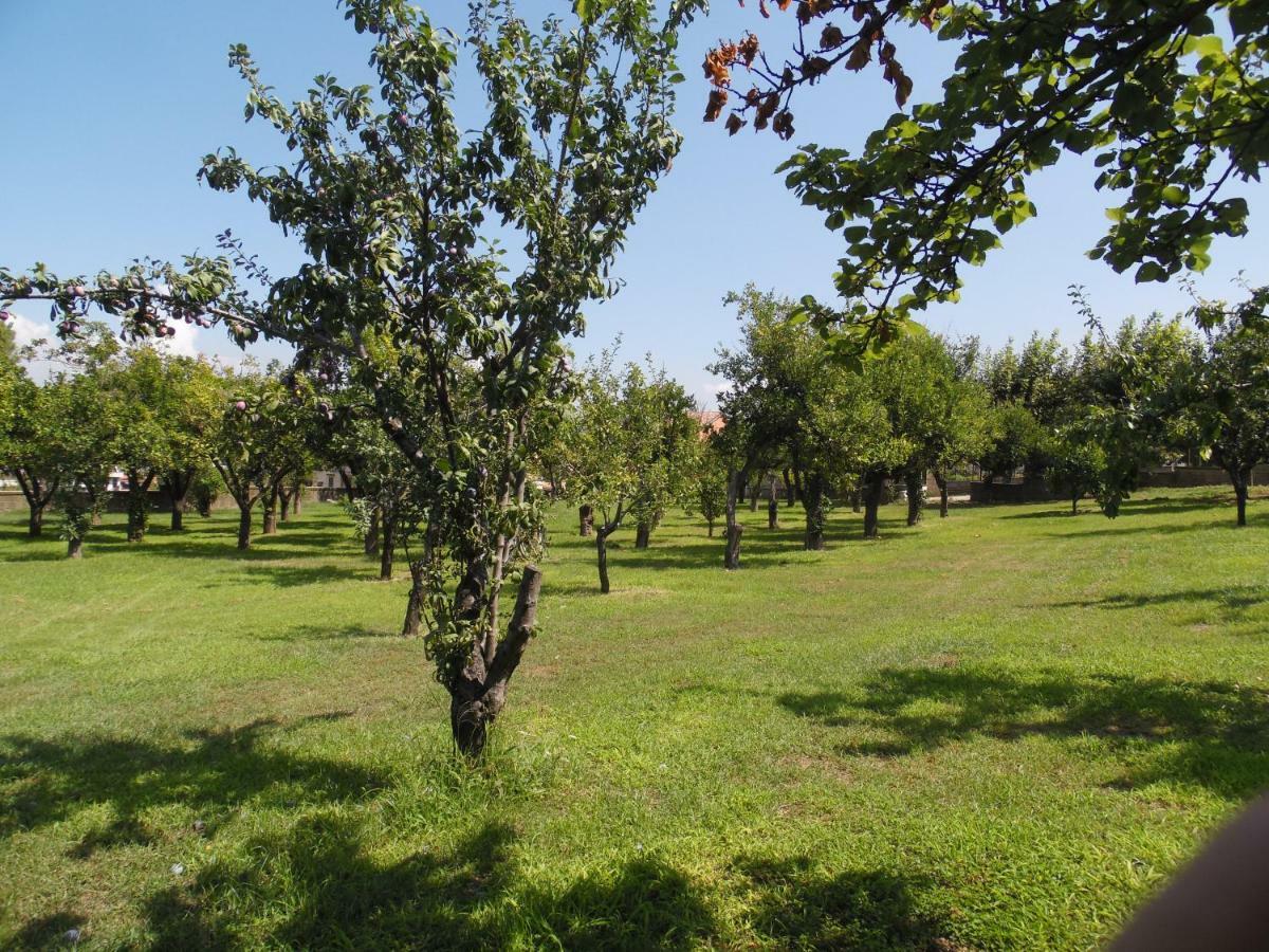 Villa Bianca Castellammare di Stabia Esterno foto